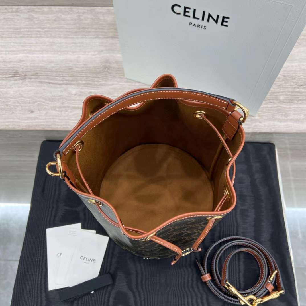 Celine Clara Bag In Triomphe Canvas And Calfskin view 7