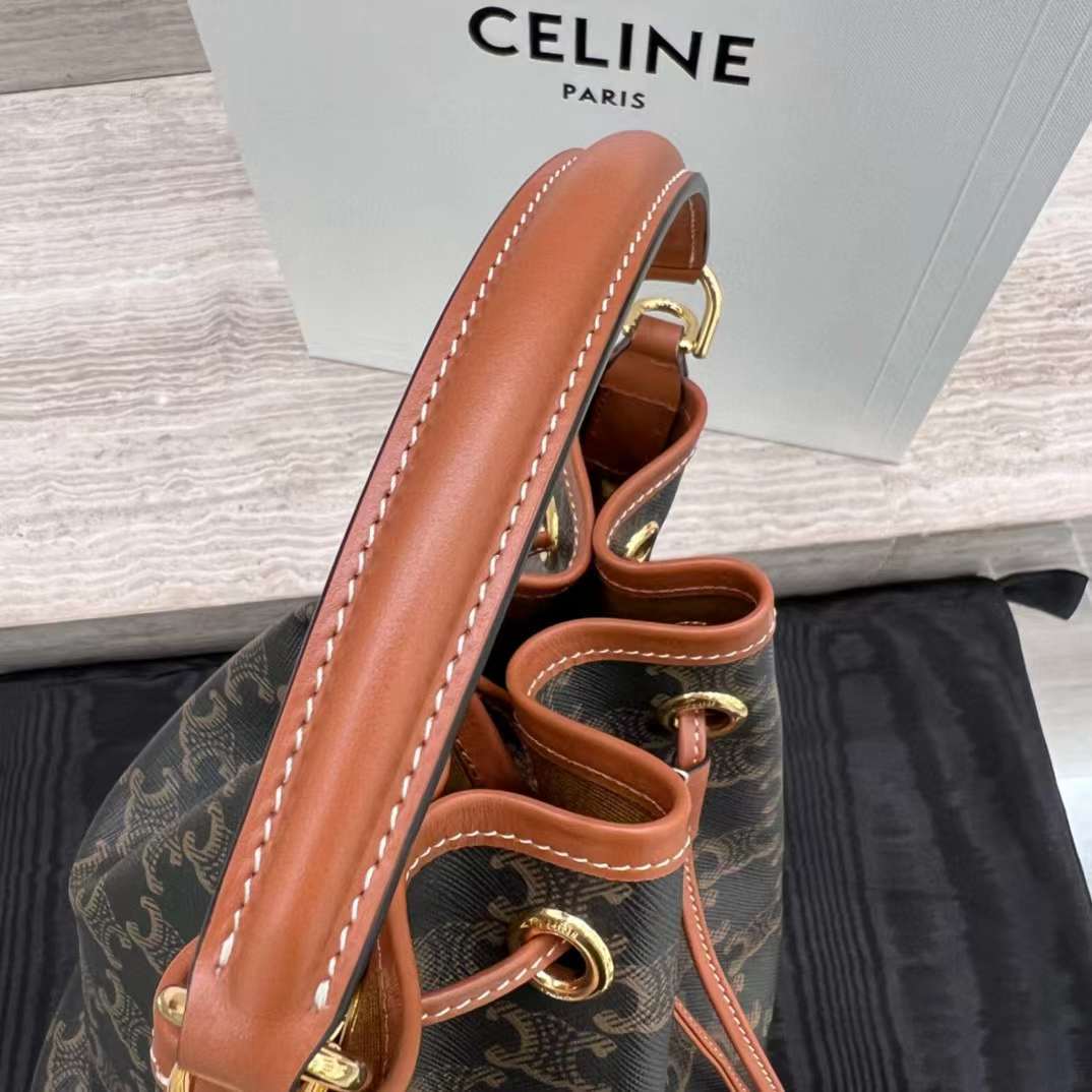 Celine Clara Bag In Triomphe Canvas And Calfskin view 9