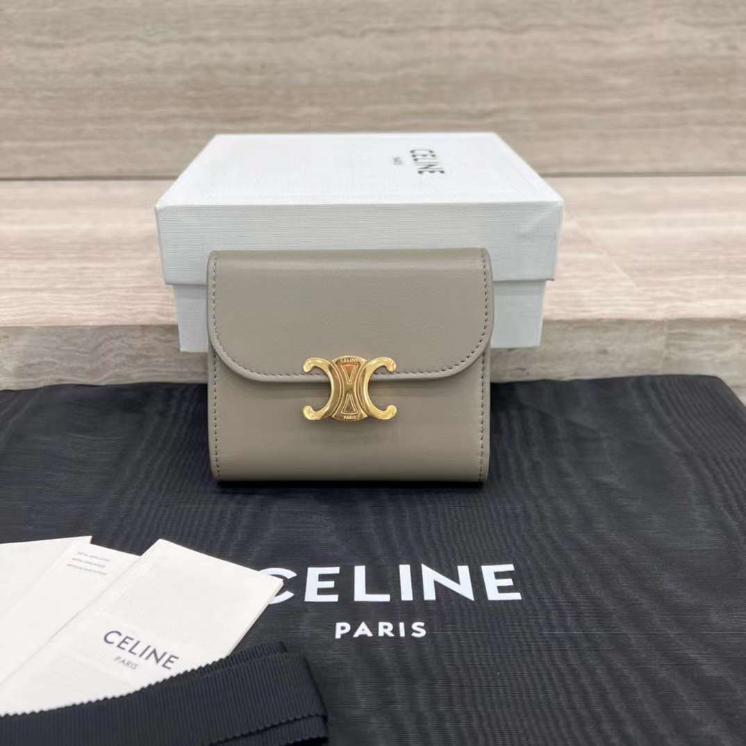 Celine Triumphal Arch purse view 1