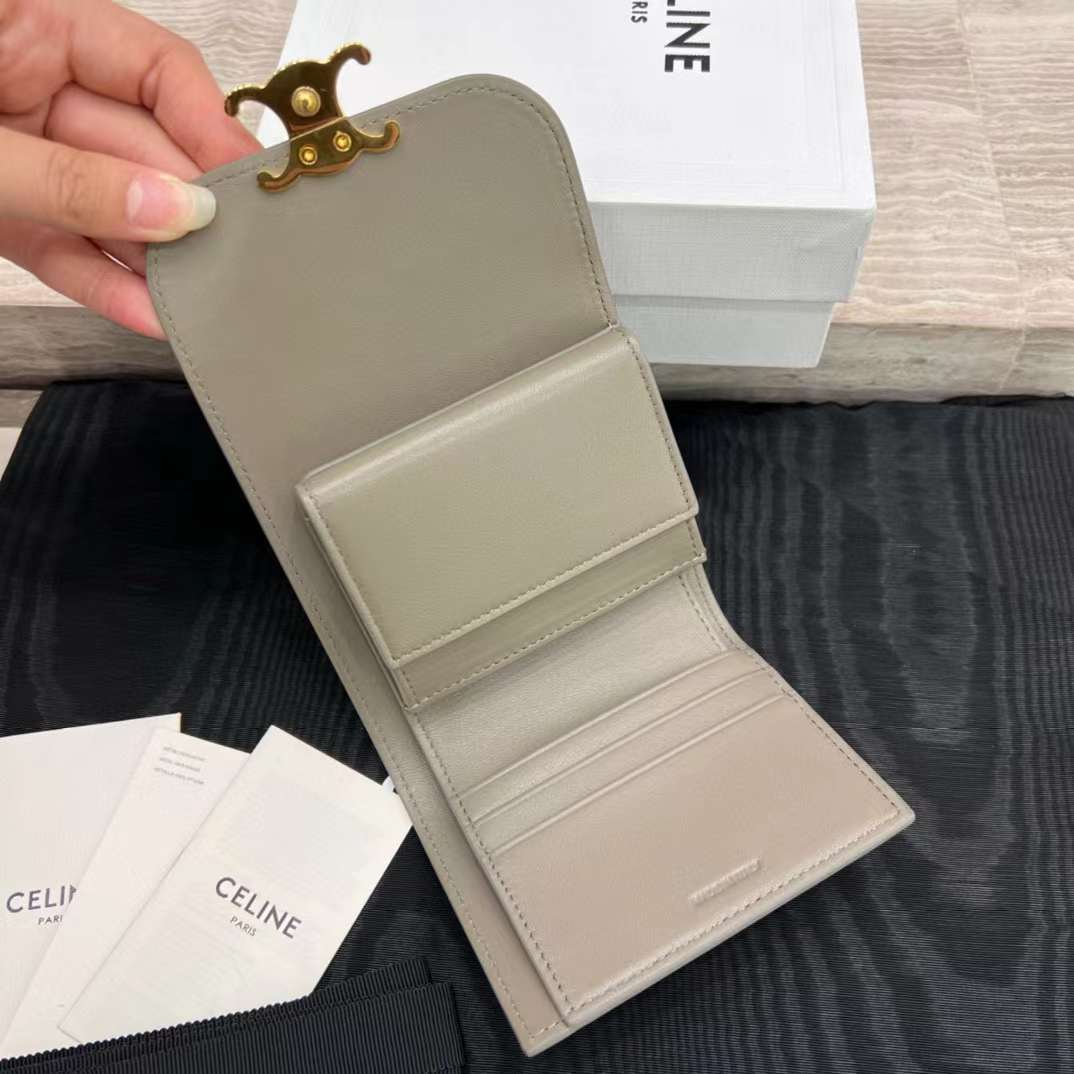 Celine Triumphal Arch purse view 2