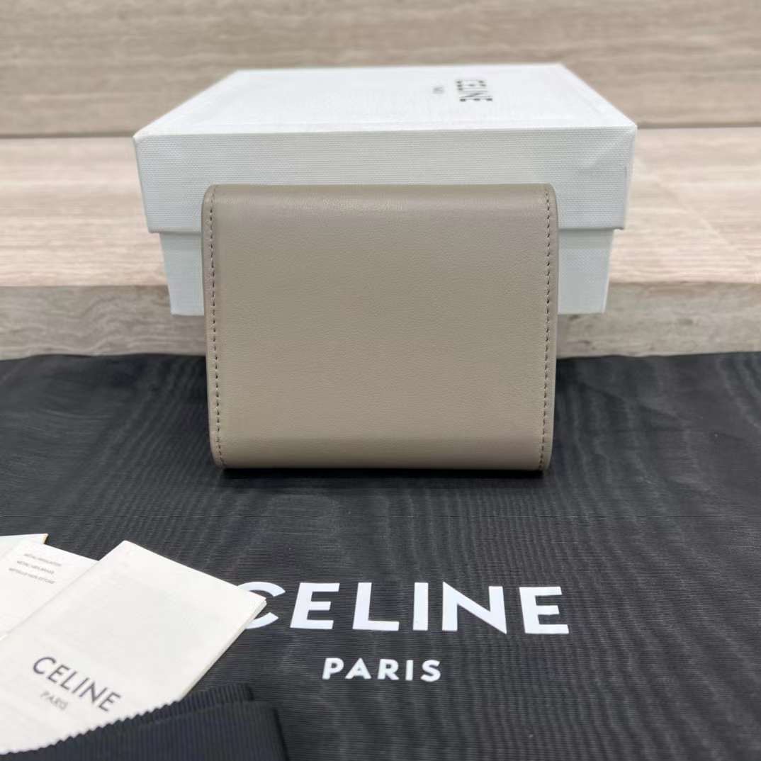 Celine Triumphal Arch purse view 3