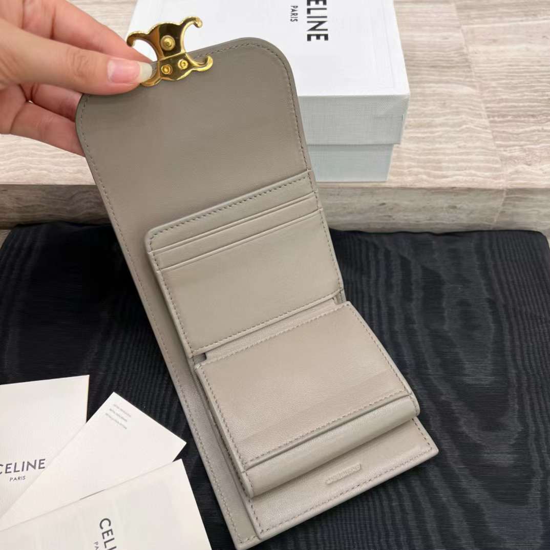 Celine Triumphal Arch purse view 8
