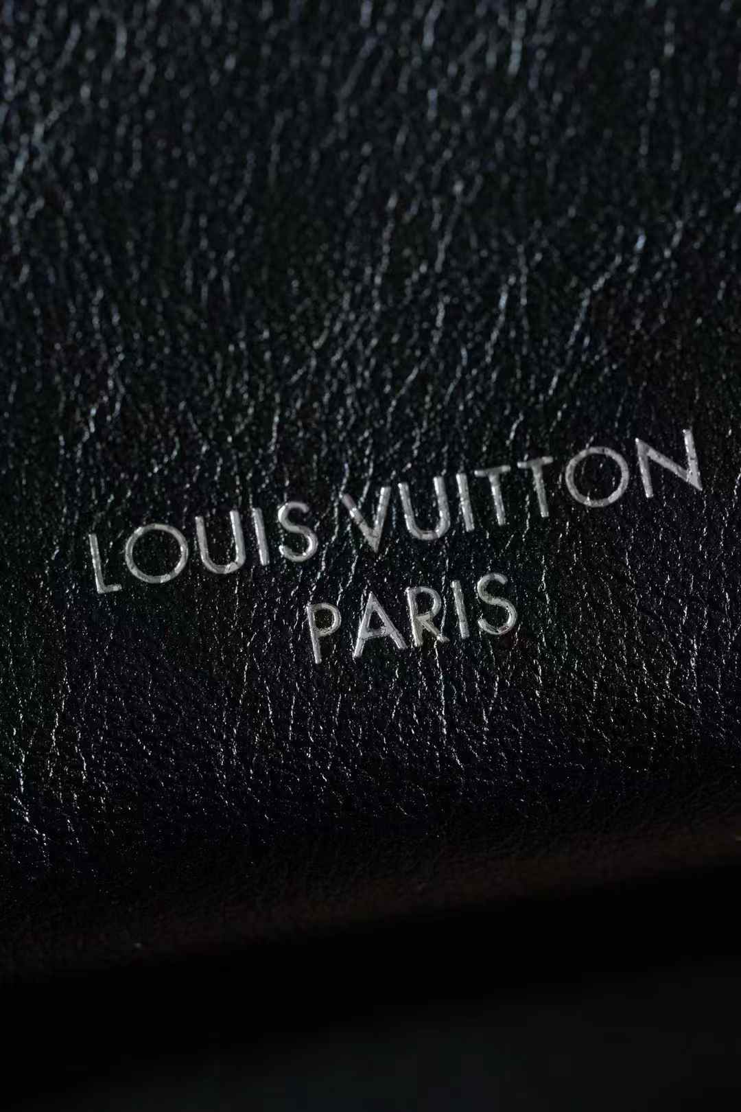 Louis Vuitton Carryall Dark Mm Bag M25143 view 5