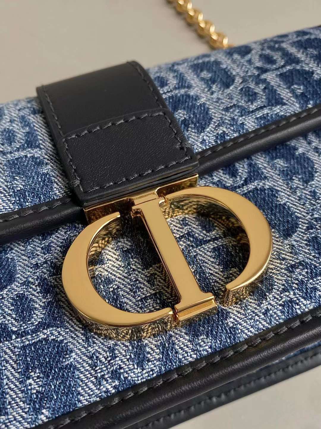 Dior 2024 Montaigne Bag view 5
