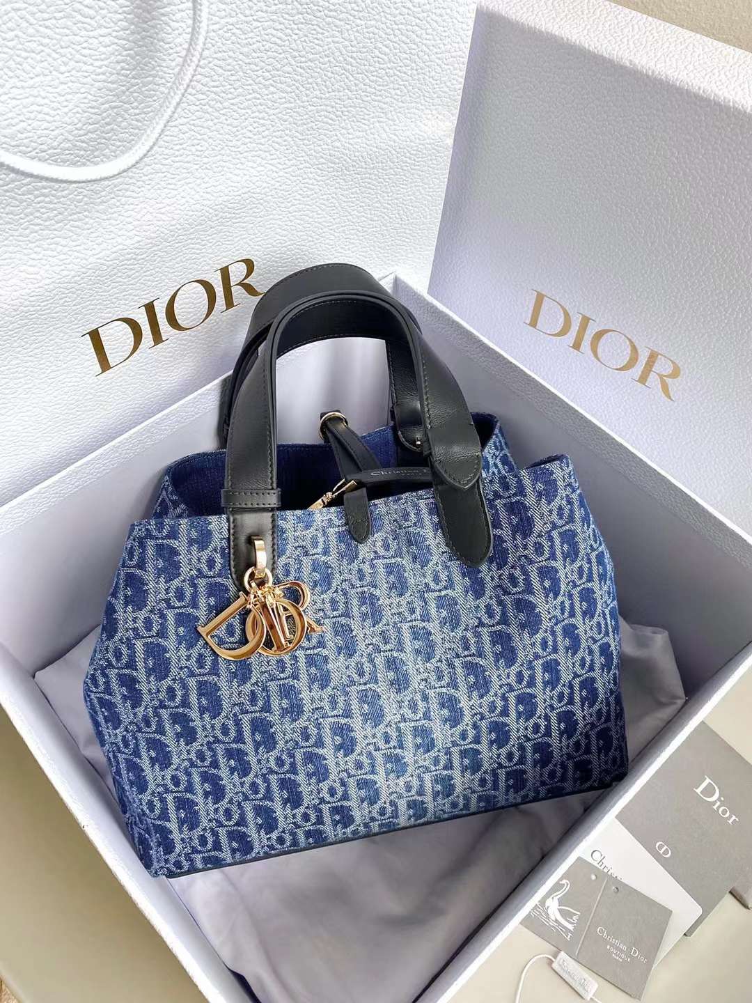 Dior 2024 Toujours Bag view 1