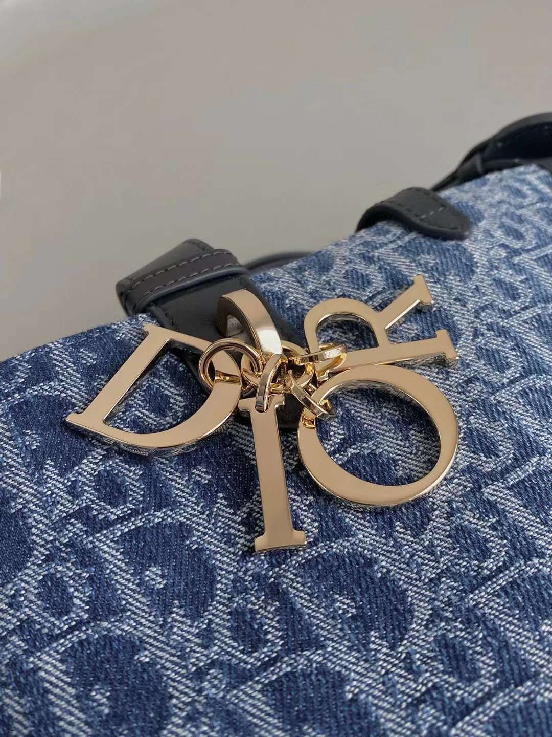 Dior 2024 Toujours Bag view 5