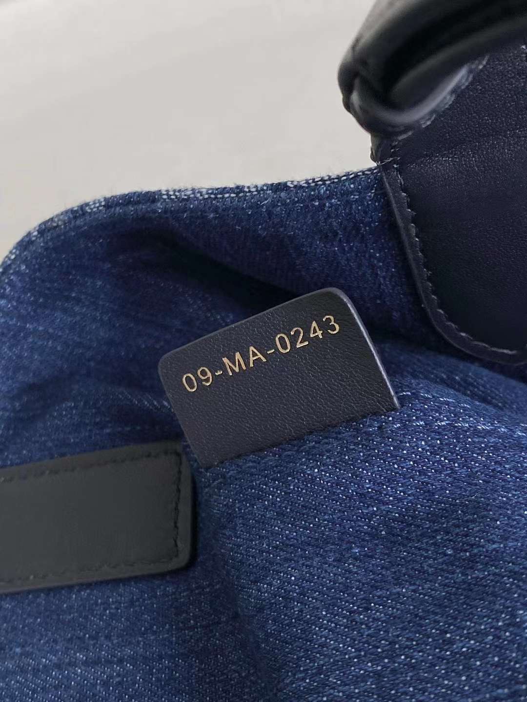 Dior 2024 Toujours Bag view 7