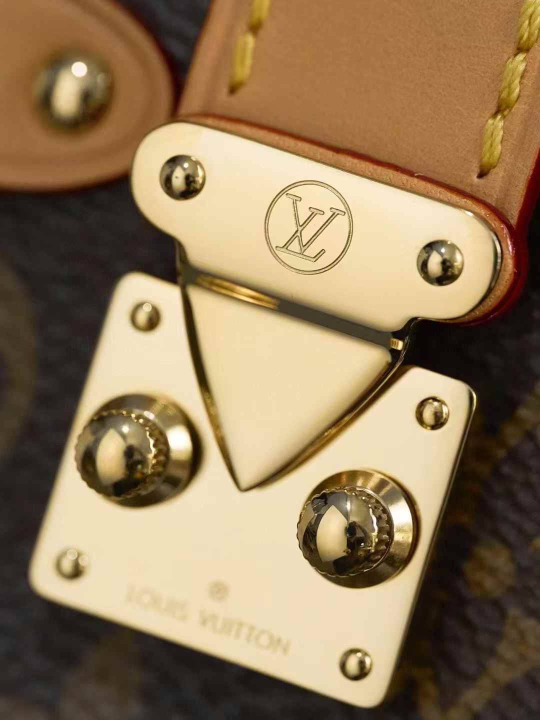 Louis Vuitton M46815 Side Trunk MM view 2