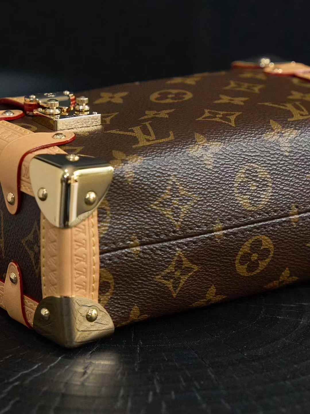 Louis Vuitton M46815 Side Trunk MM view 4