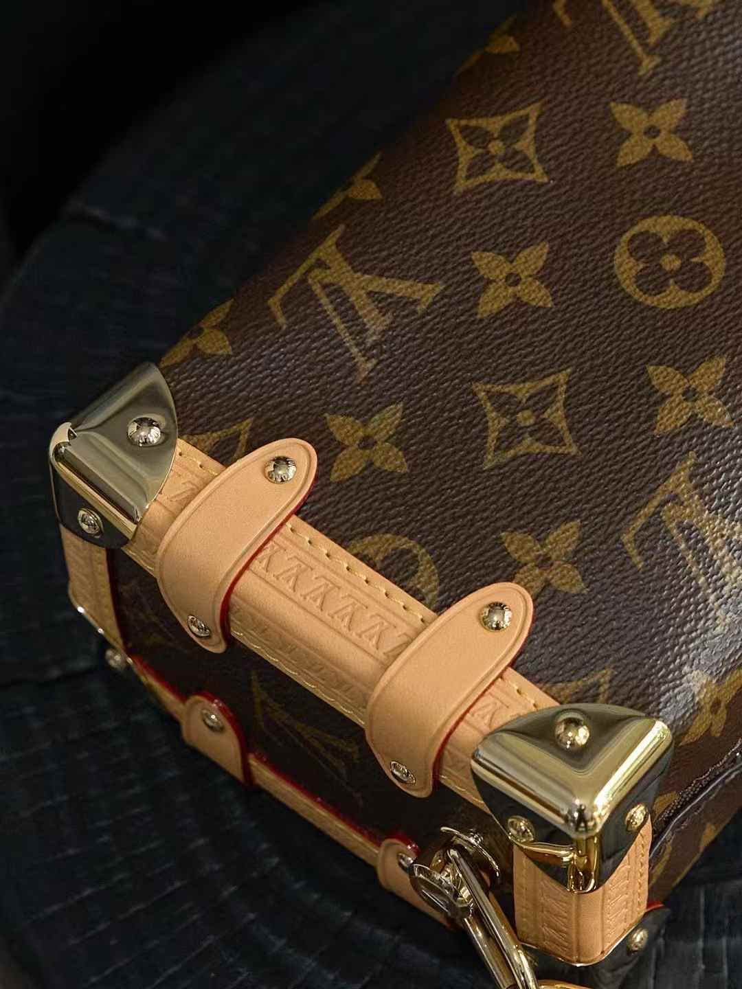 Louis Vuitton M46815 Side Trunk MM view 5