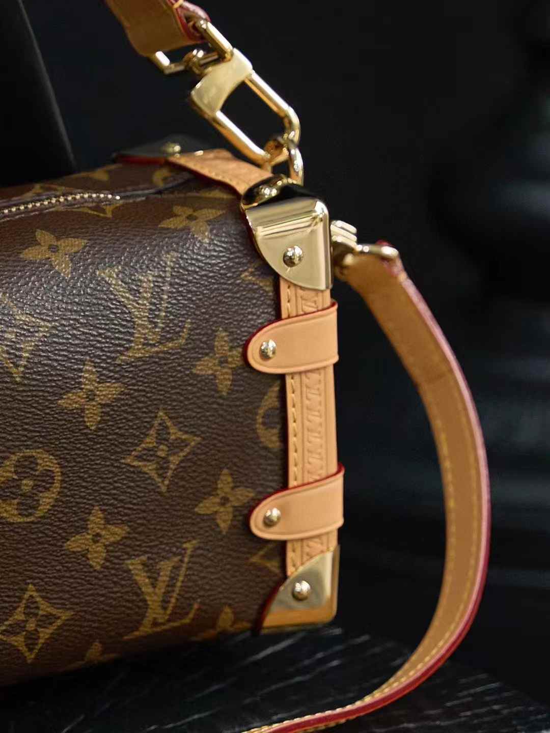 Louis Vuitton M46815 Side Trunk MM view 6