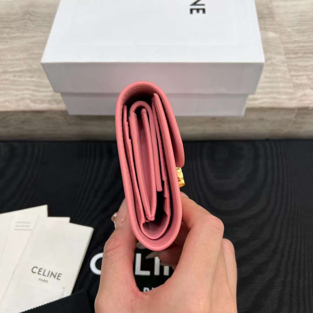 Celine NEW Triumphal Arch logo wallet view 3