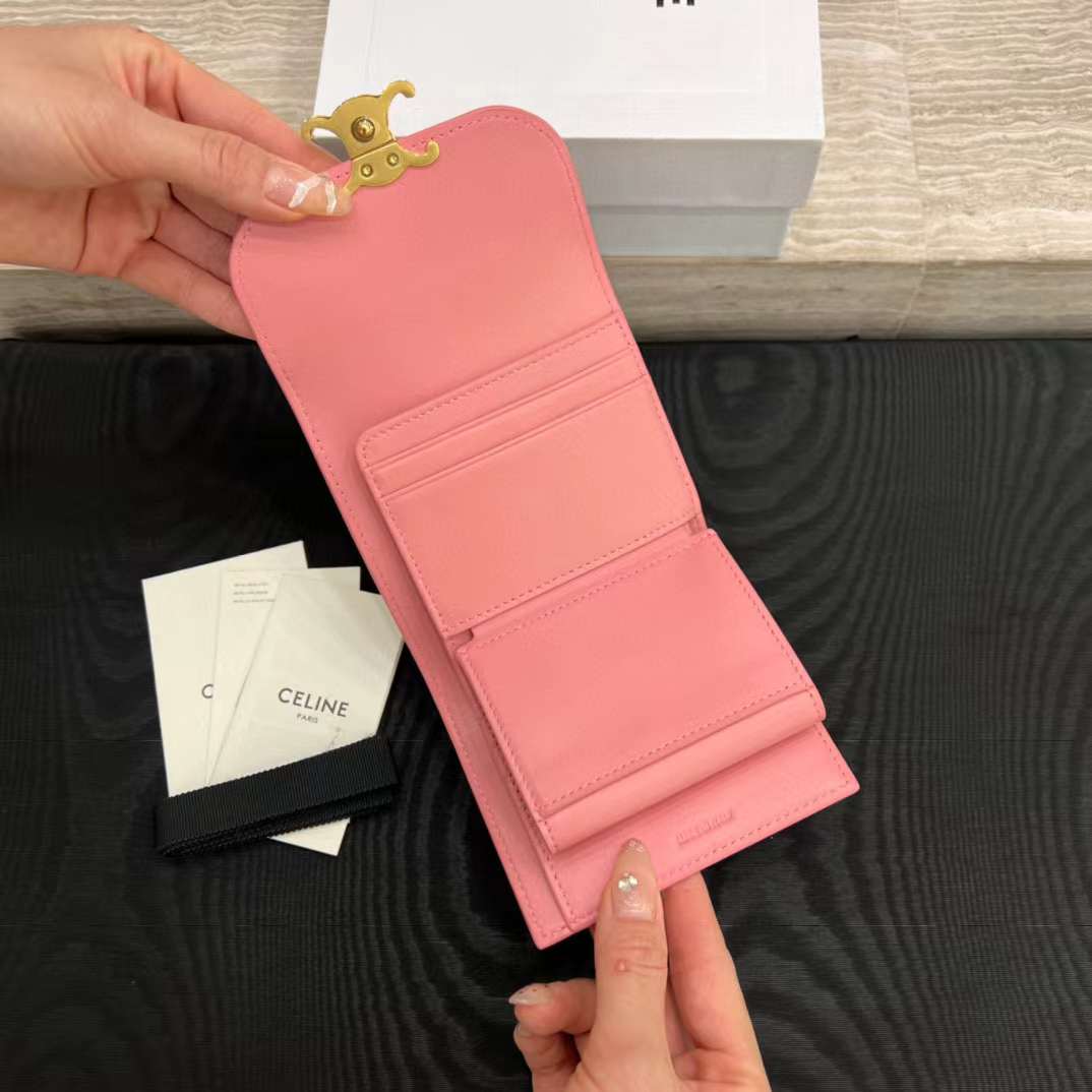 Celine NEW Triumphal Arch logo wallet view 4