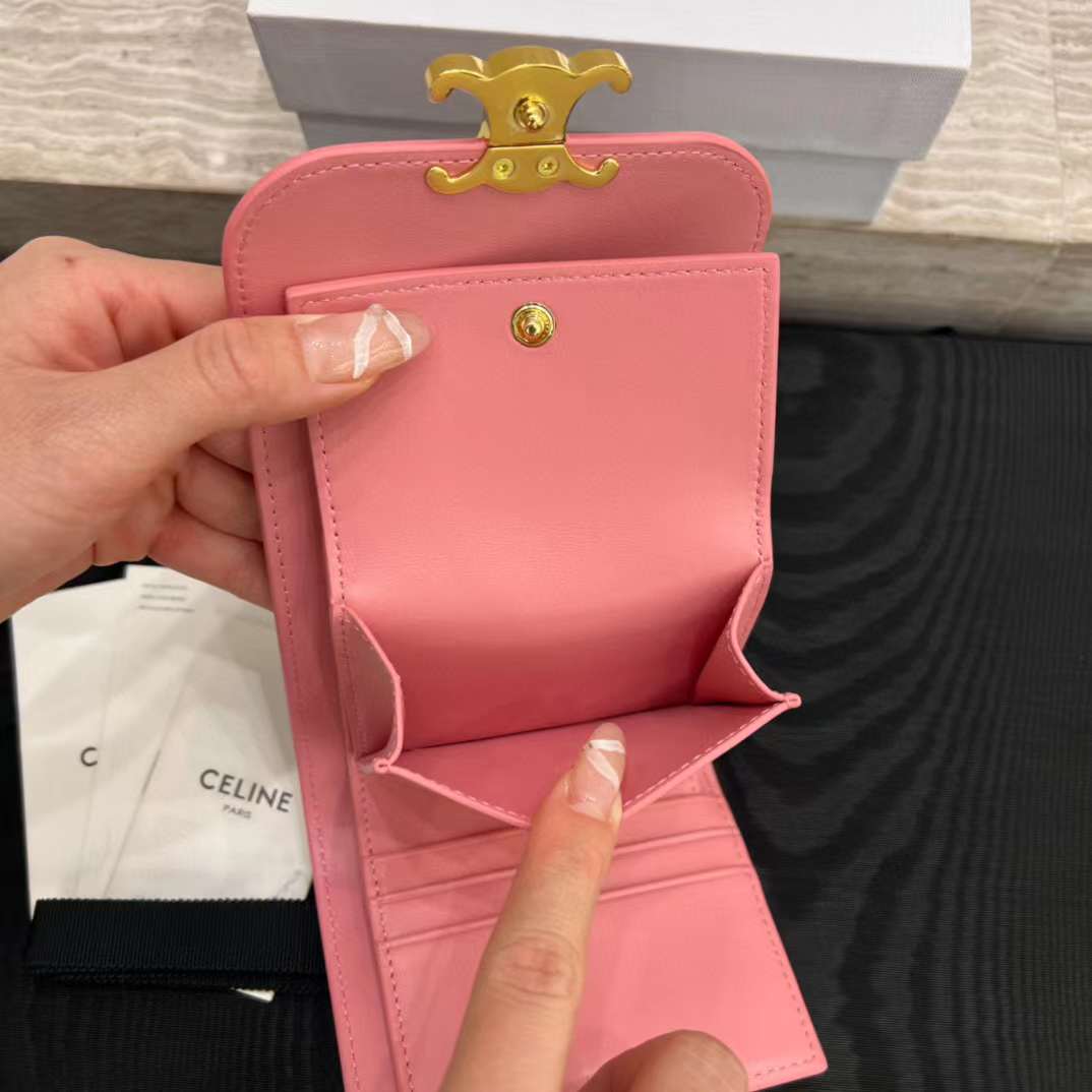 Celine NEW Triumphal Arch logo wallet view 6