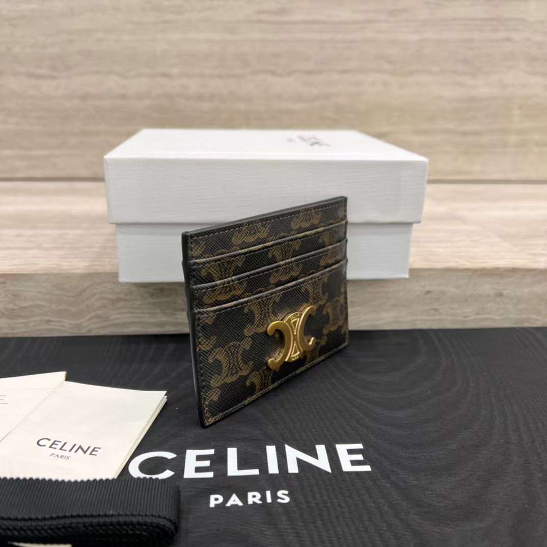 Celine NEW Arc de Triomphe logo card pack view 9