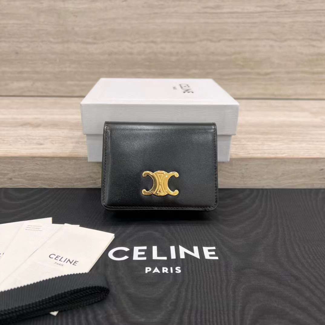 Celine TRIOMPHE wallet view 1