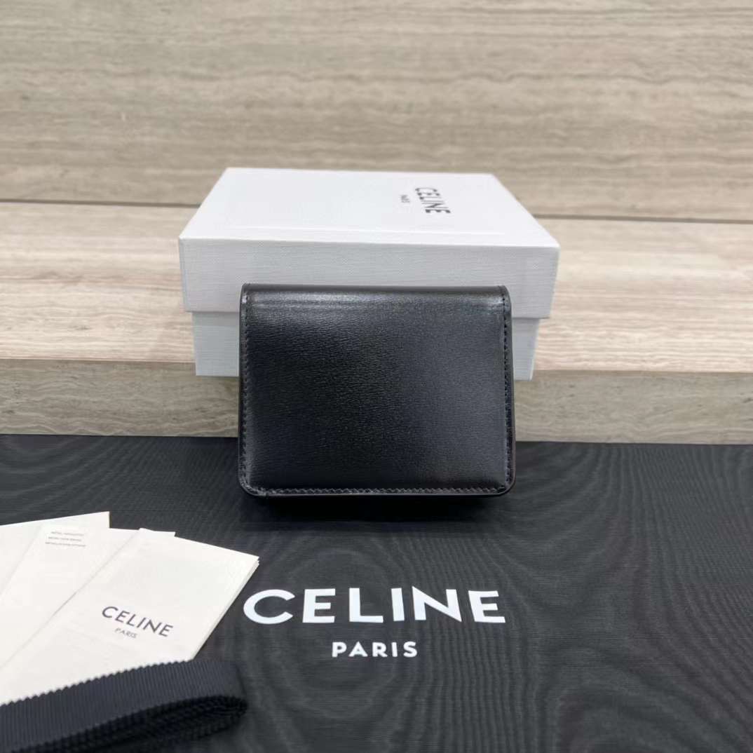 Celine TRIOMPHE wallet view 2