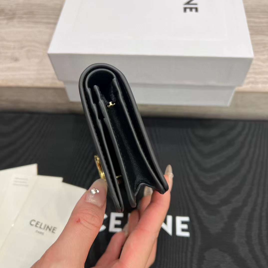 Celine TRIOMPHE wallet view 3
