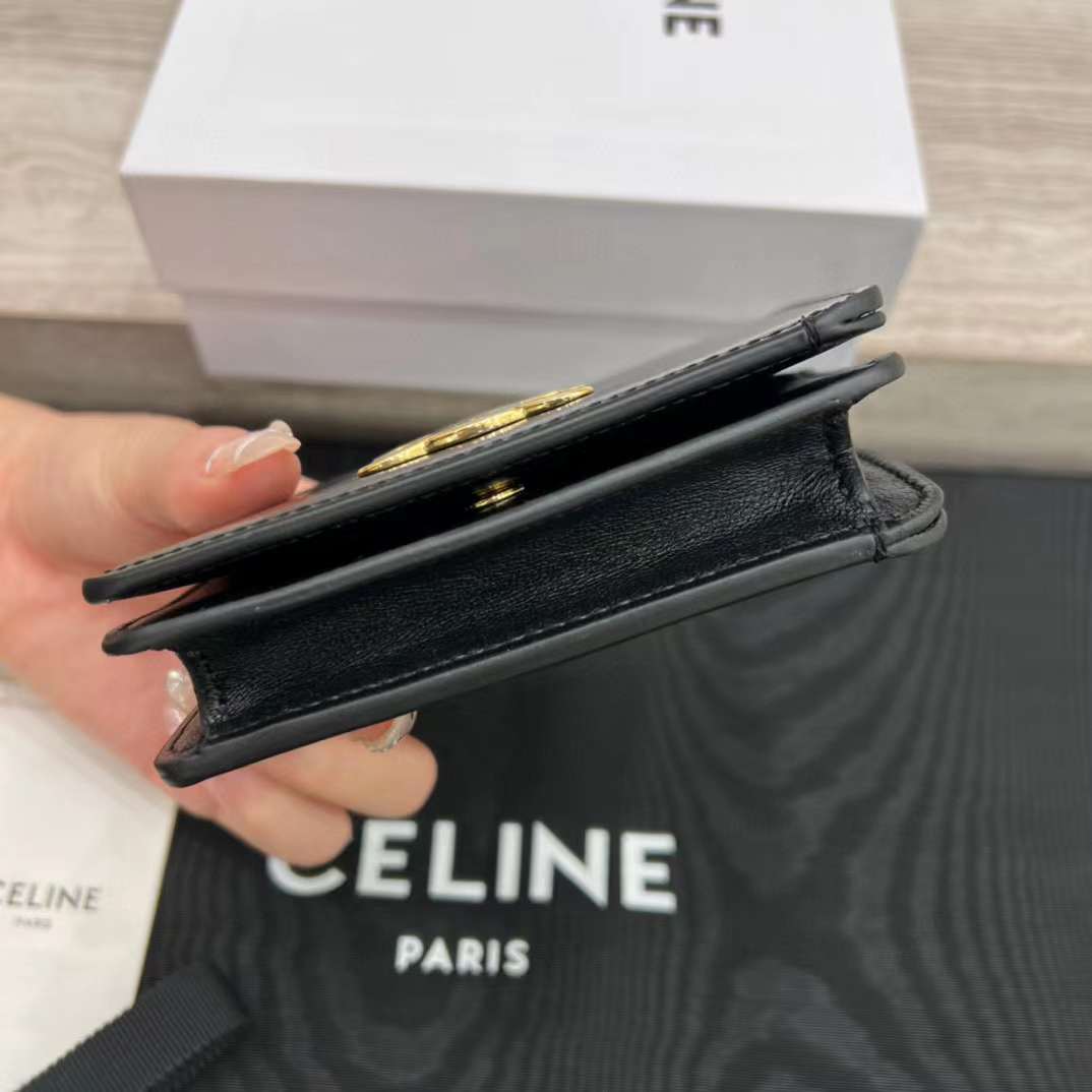 Celine TRIOMPHE wallet view 4