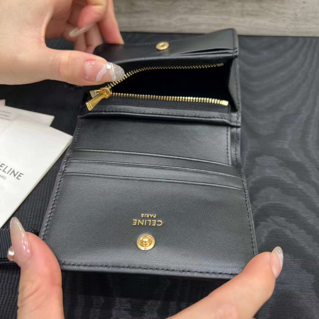 Celine TRIOMPHE wallet view 5