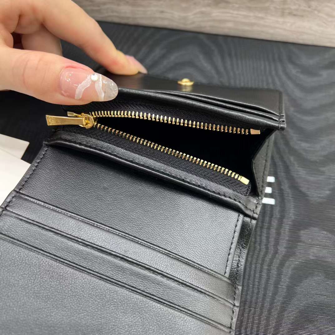 Celine TRIOMPHE wallet view 6