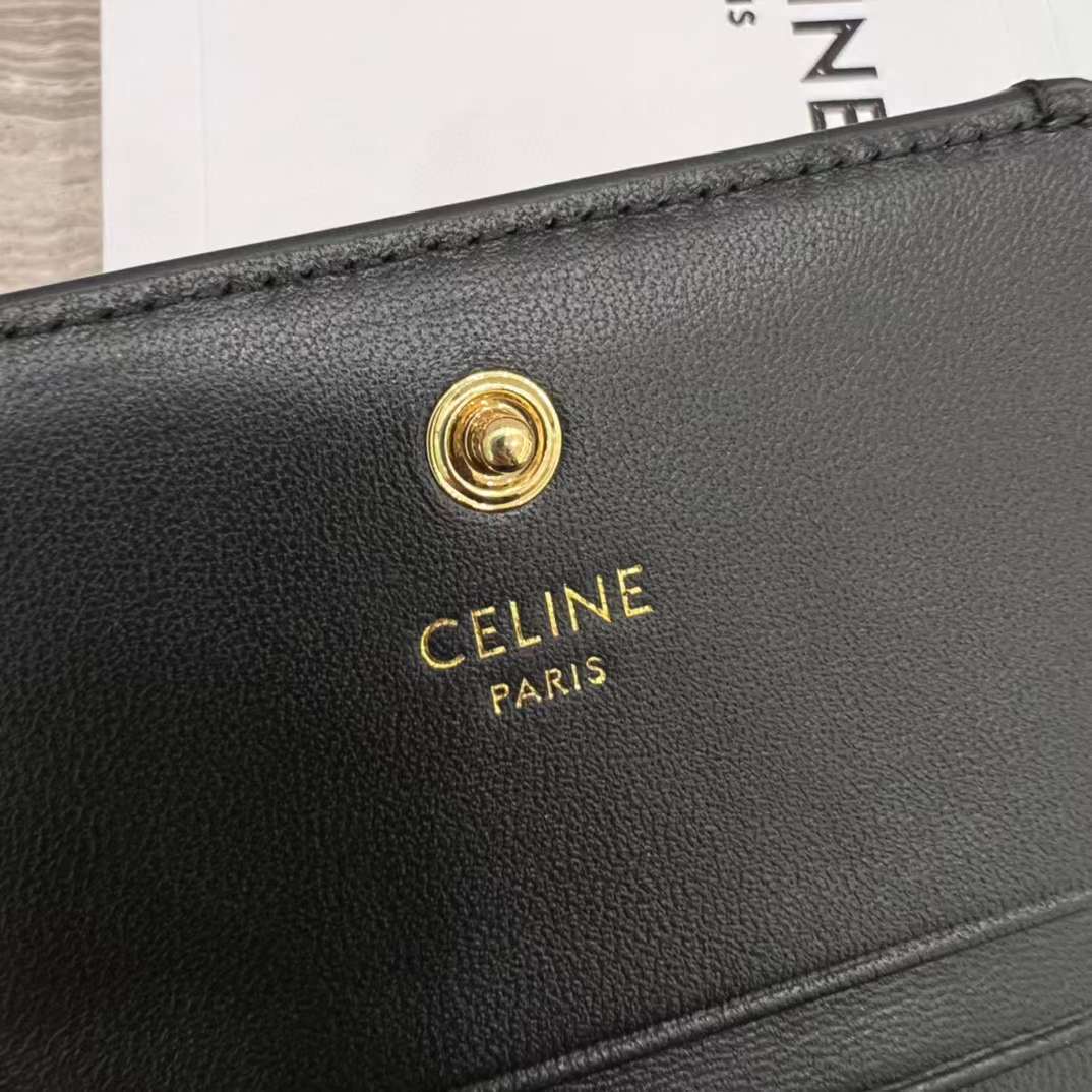 Celine TRIOMPHE wallet view 8