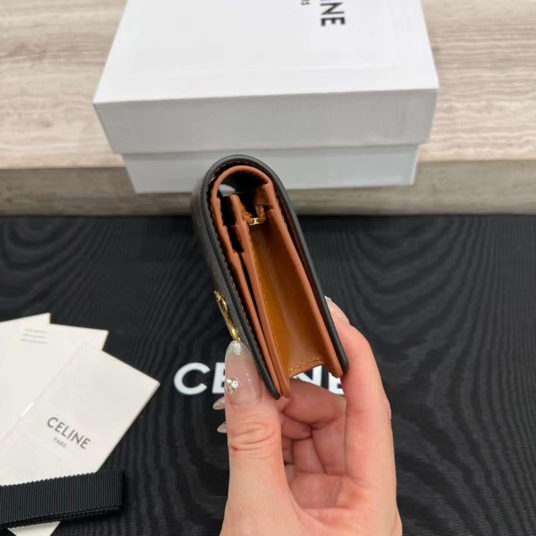 Celine TRIOMPHE wallet view 3