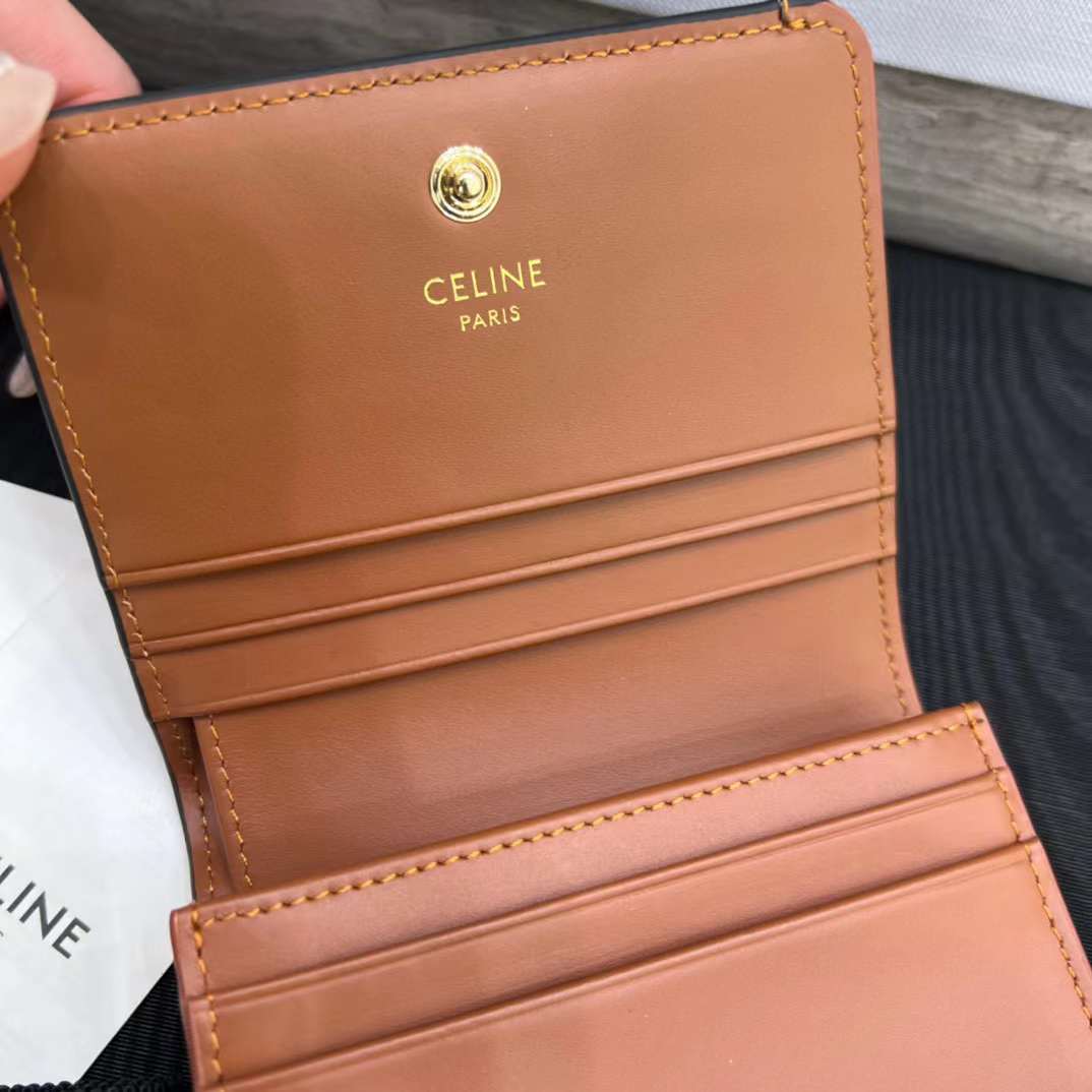 Celine TRIOMPHE wallet view 4