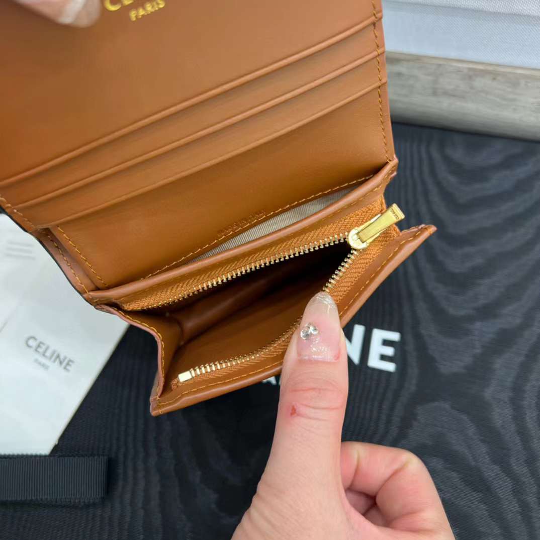 Celine TRIOMPHE wallet view 5