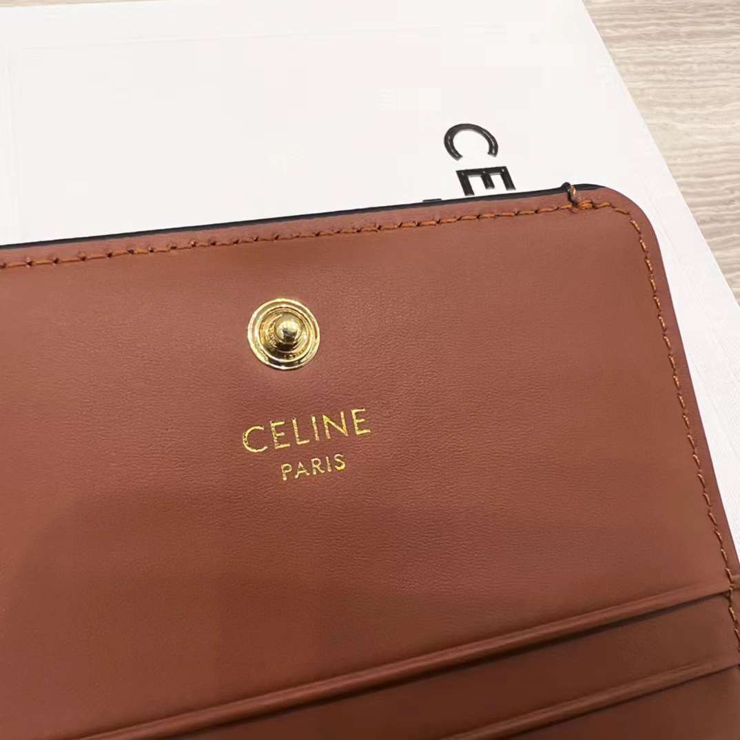 Celine TRIOMPHE wallet view 7