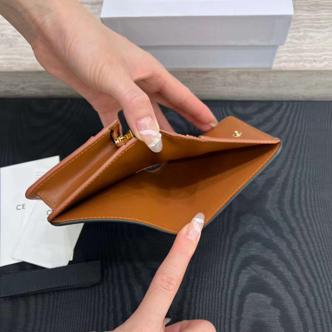 Celine TRIOMPHE wallet view 9