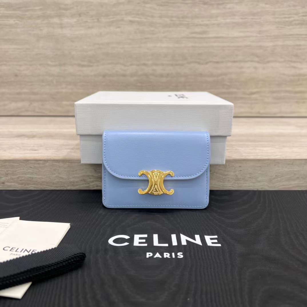Celine TRIOMPHE Arc de card bag view 1