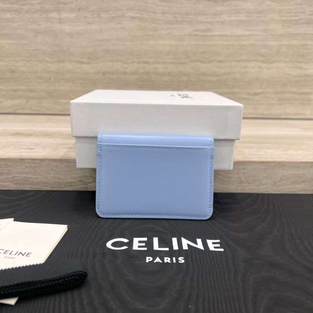 Celine TRIOMPHE Arc de card bag view 2