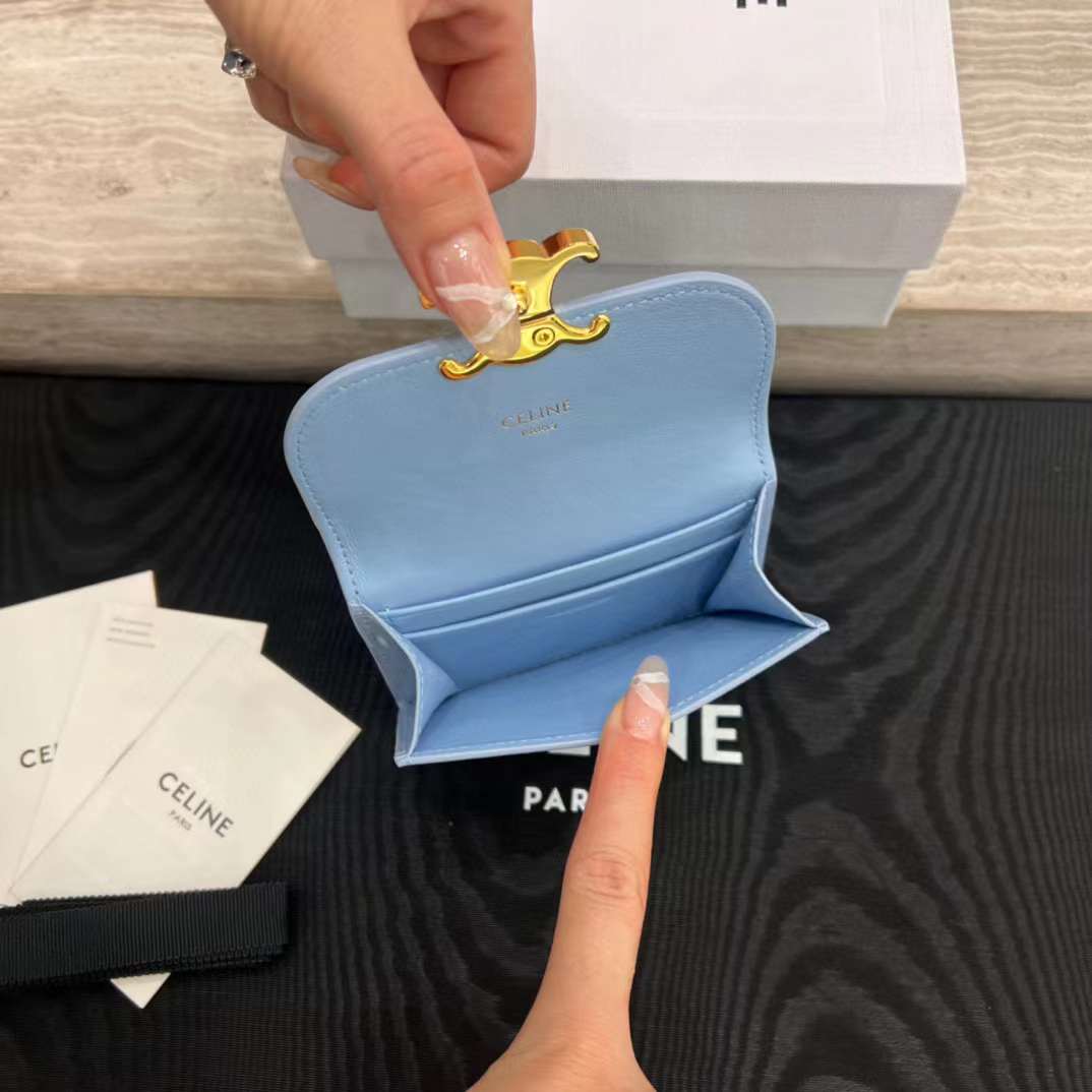 Celine TRIOMPHE Arc de card bag view 3