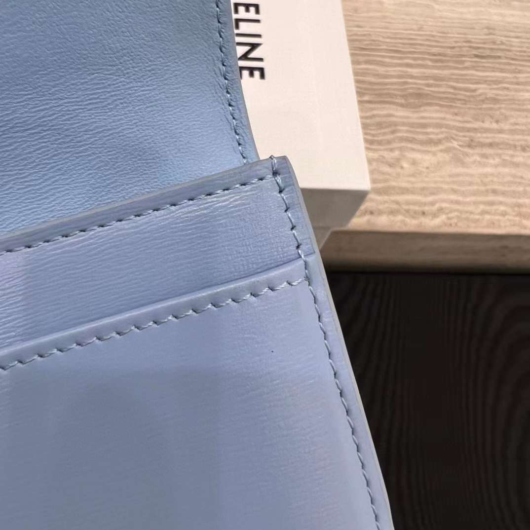 Celine TRIOMPHE Arc de card bag view 4