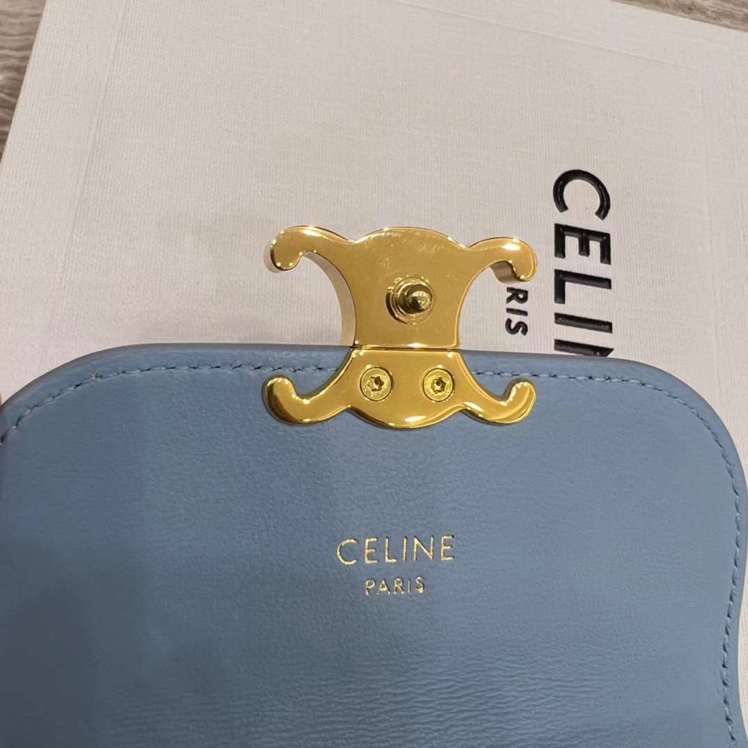 Celine TRIOMPHE Arc de card bag view 6