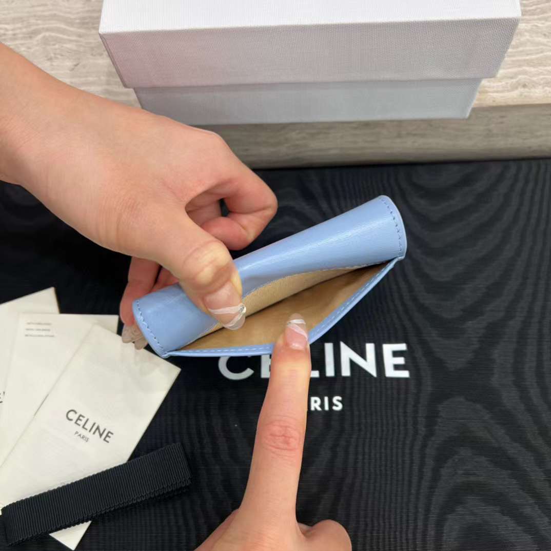 Celine TRIOMPHE Arc de card bag view 9