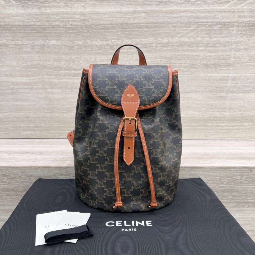 Celine TRIOMPHE CANVAS knapsack view 1