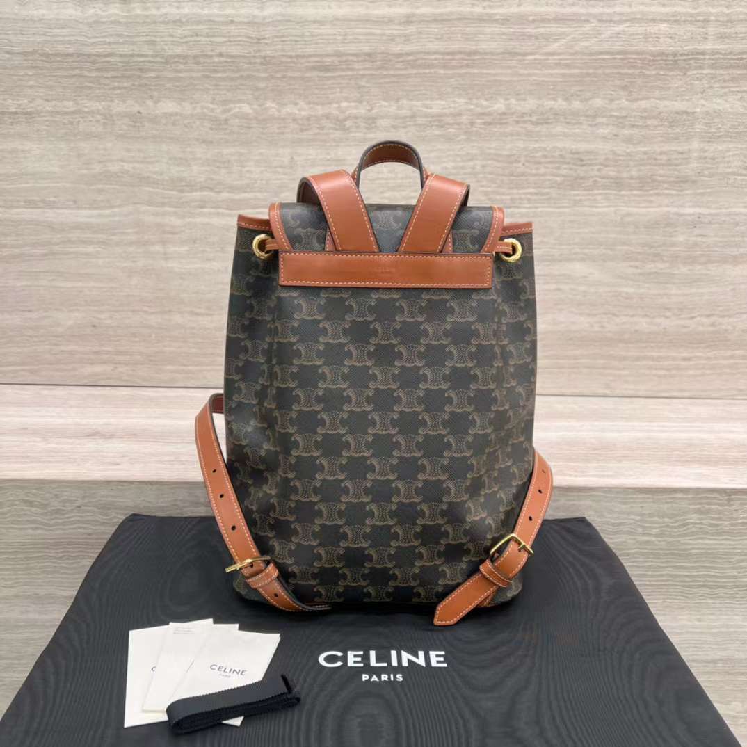 Celine TRIOMPHE CANVAS knapsack view 2