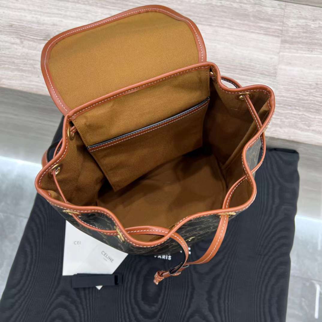 Celine TRIOMPHE CANVAS knapsack view 3