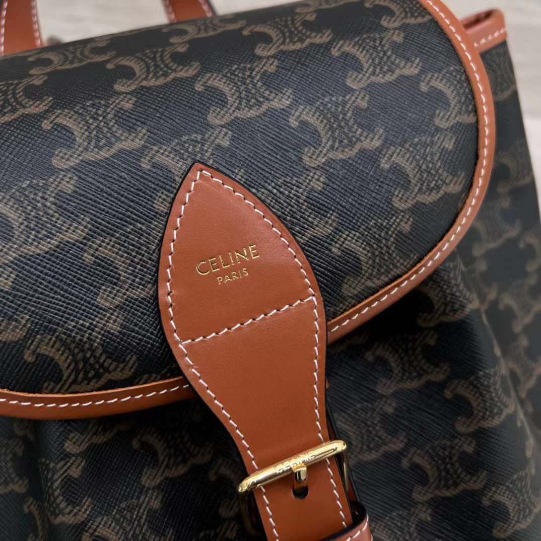 Celine TRIOMPHE CANVAS knapsack view 4