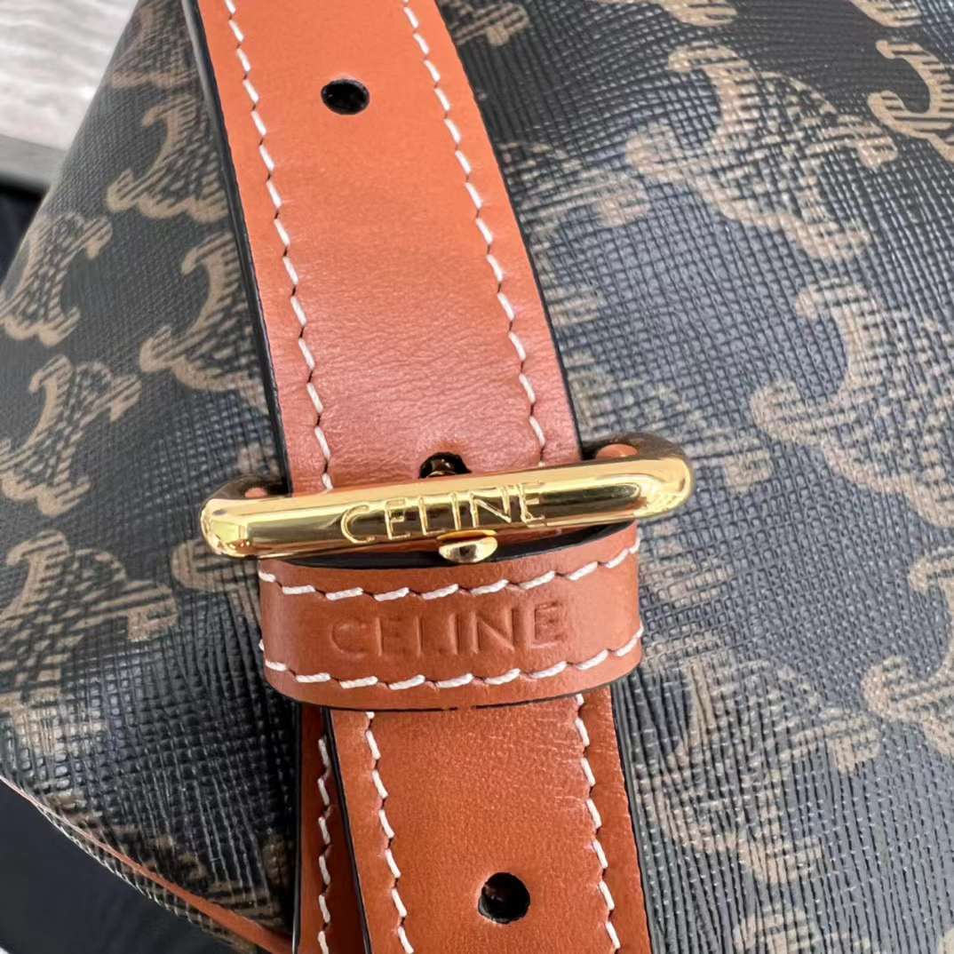 Celine TRIOMPHE CANVAS knapsack view 5