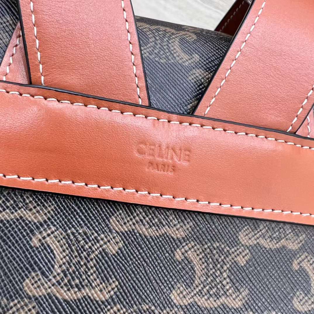 Celine TRIOMPHE CANVAS knapsack view 6