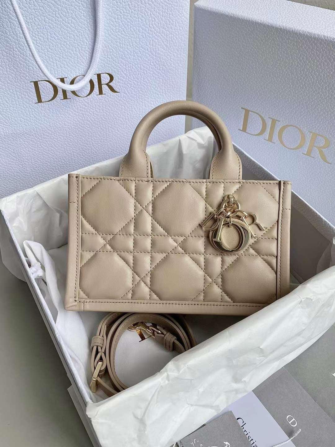 Dior 2024 Mini Book Tote Bag view 1