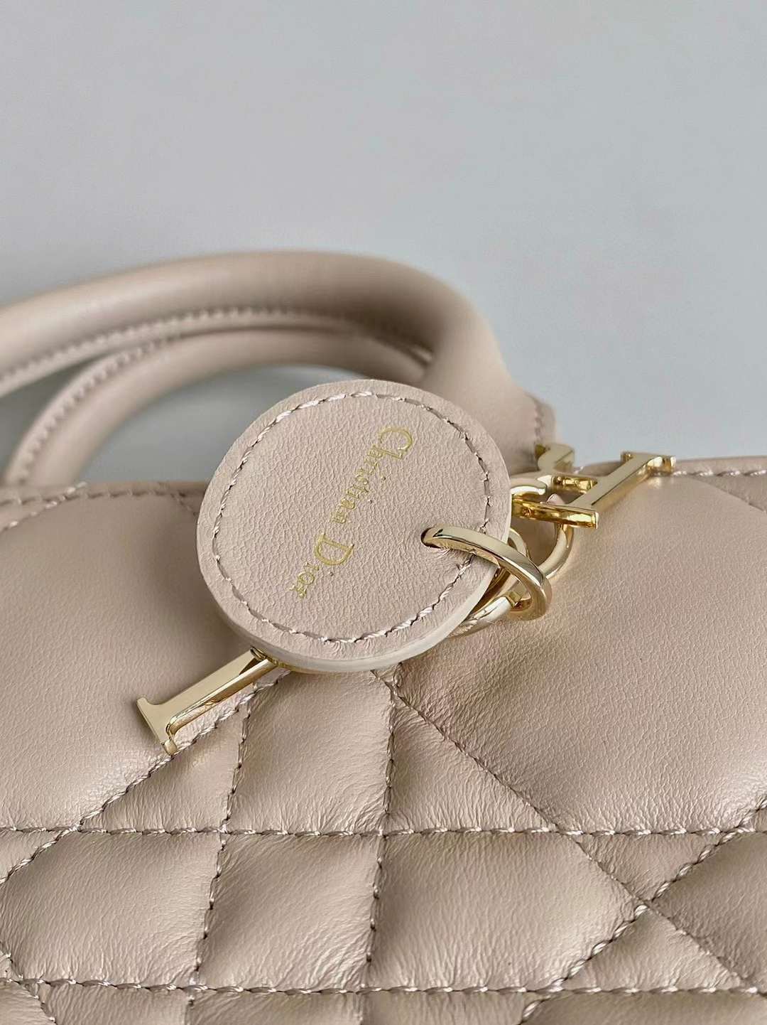 Dior 2024 Mini Book Tote Bag view 7