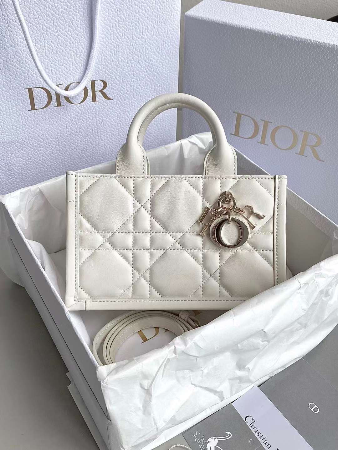 Dior 2024 Mini Book Tote Bag view 1