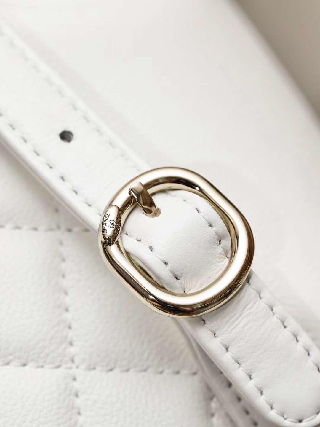 Chanel duma backpack view 4