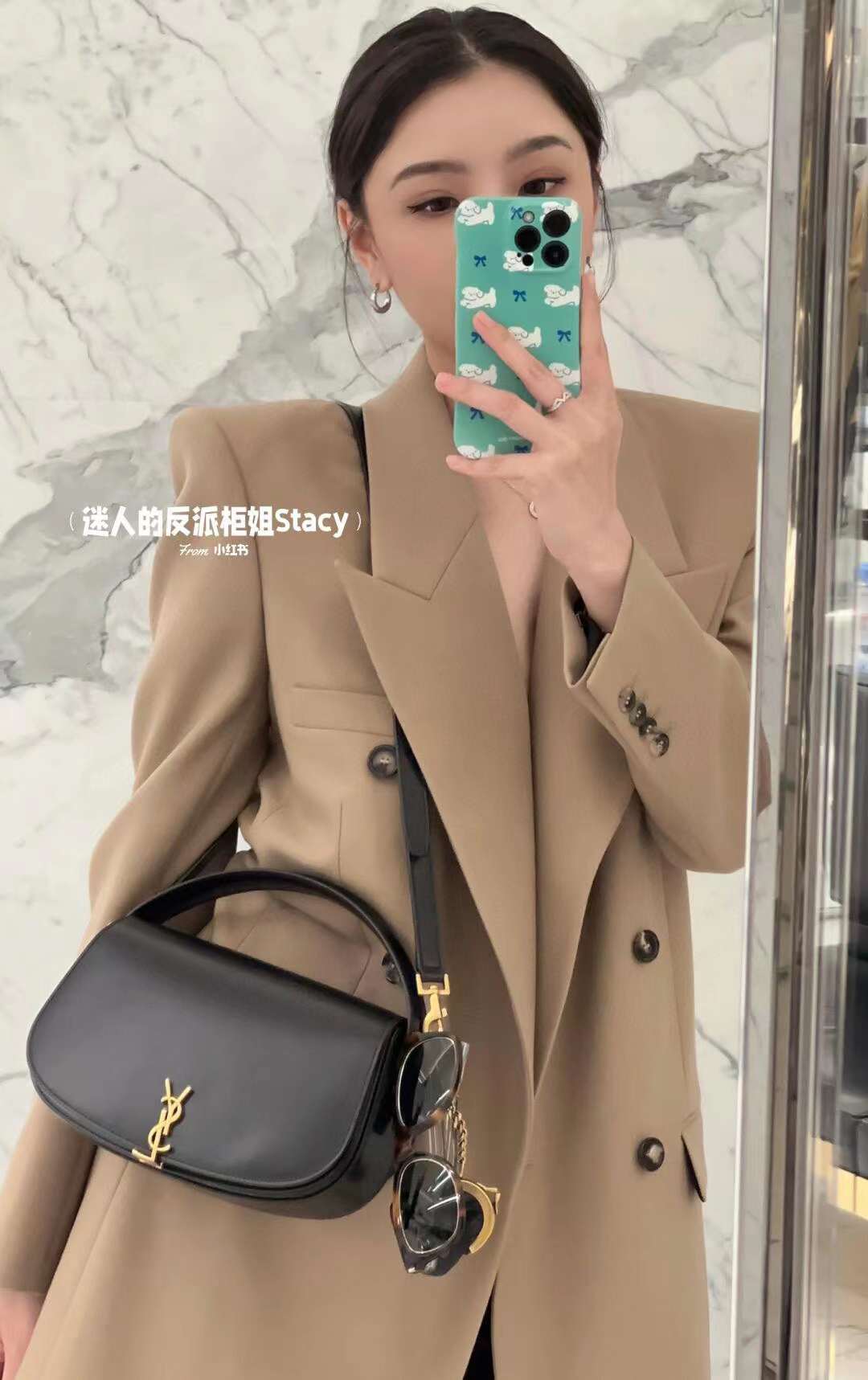 Saint Laurent VOLTAIRE handbag view 9