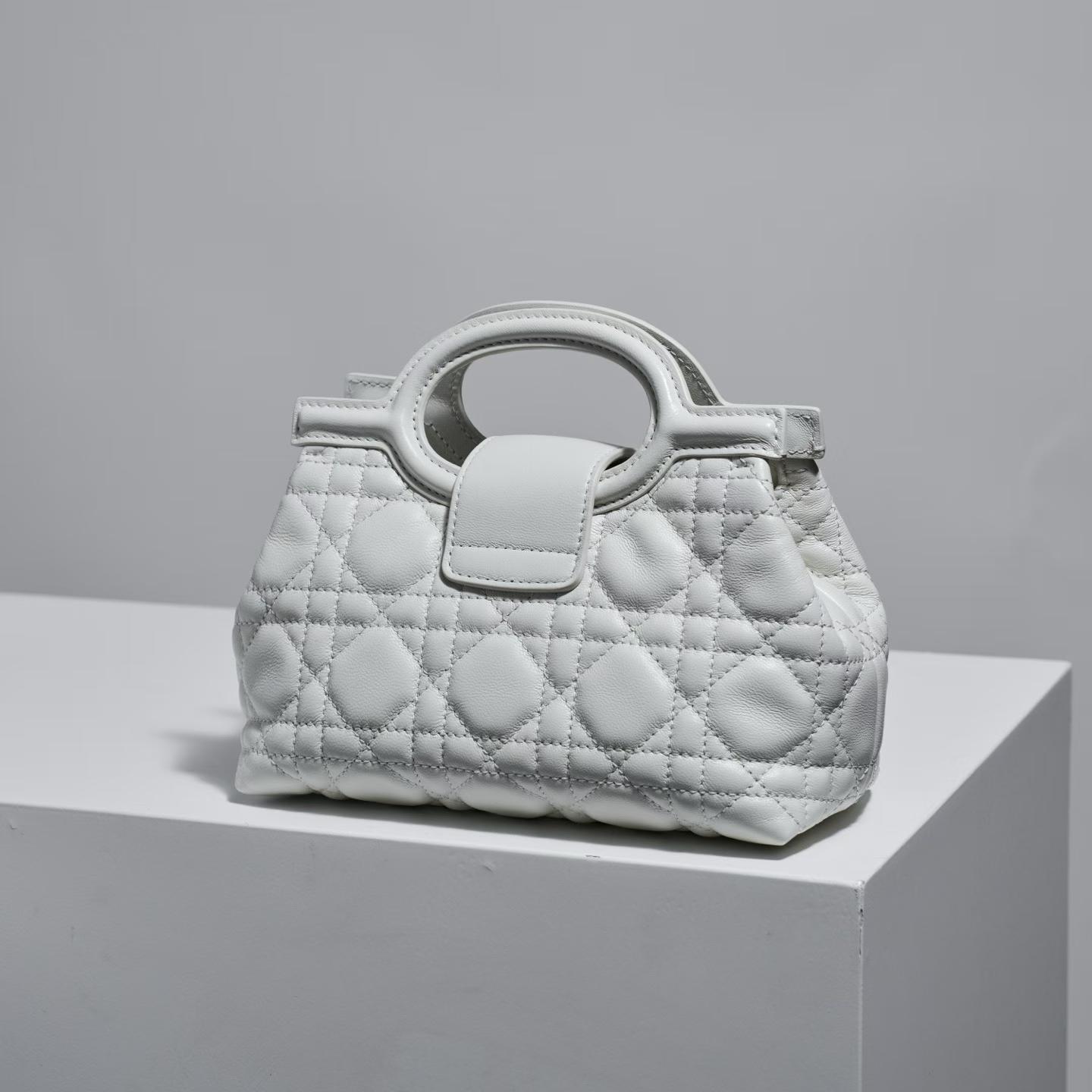 Dior Small Jolie Top Handle Bag view 17
