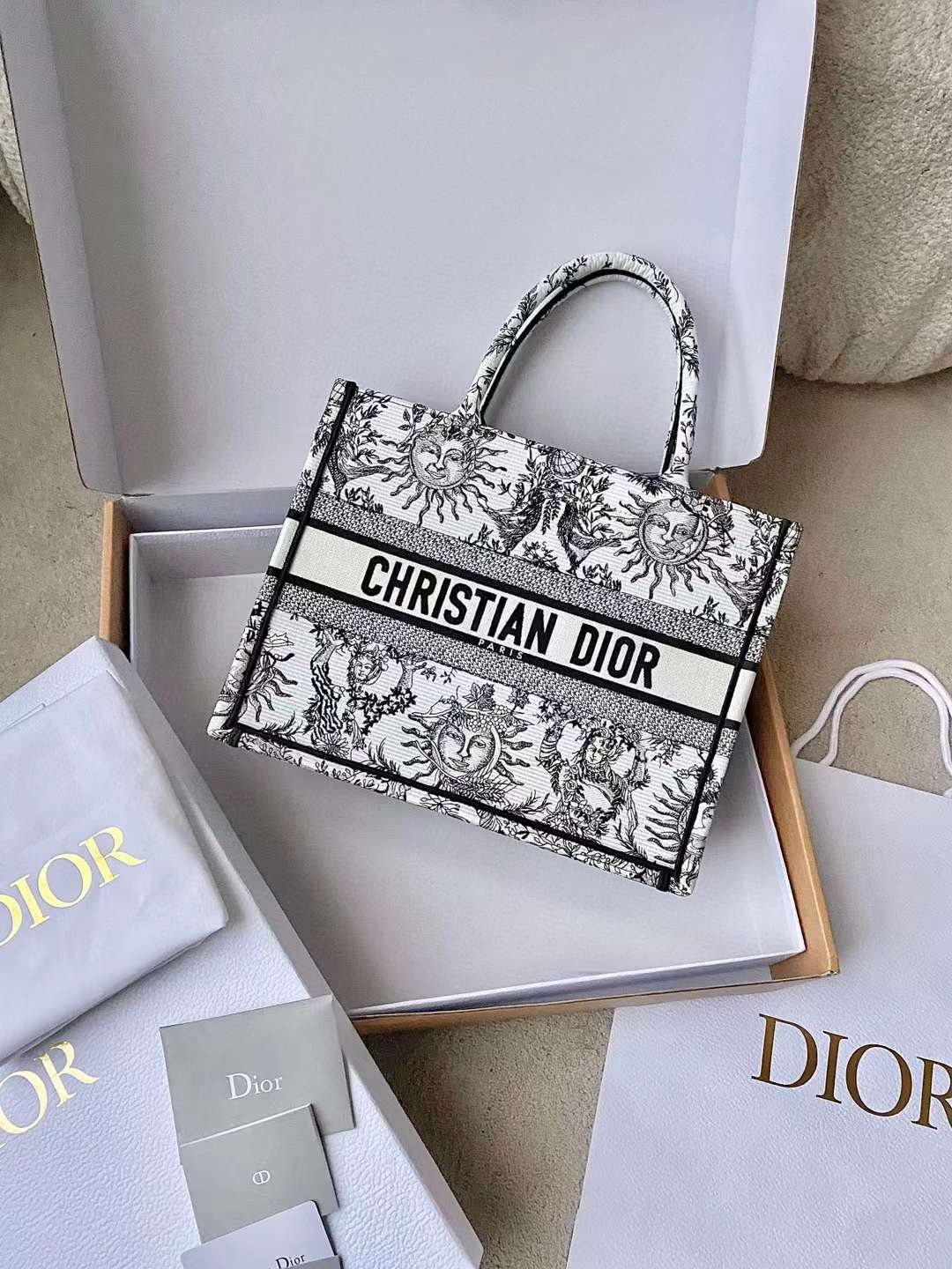Dior book tote bag view 2